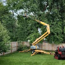 Best Utility Line Clearance  in Garden City Park, NY